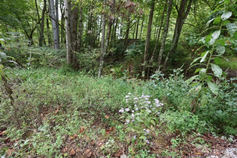 245 Woolf Pass Lane Sparta TN 38583