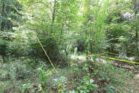 245 Woolf Pass Lane Sparta TN 38583