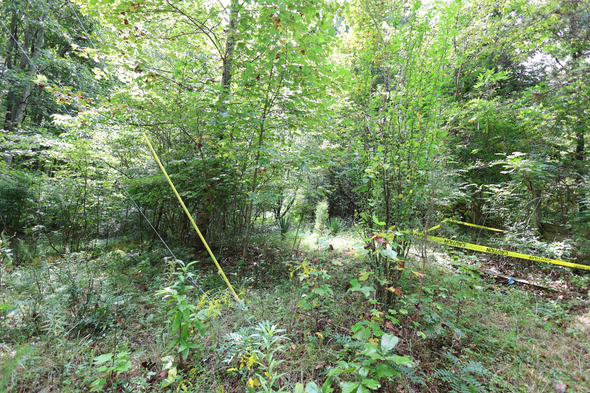 245 Woolf Pass Lane Sparta TN 38583