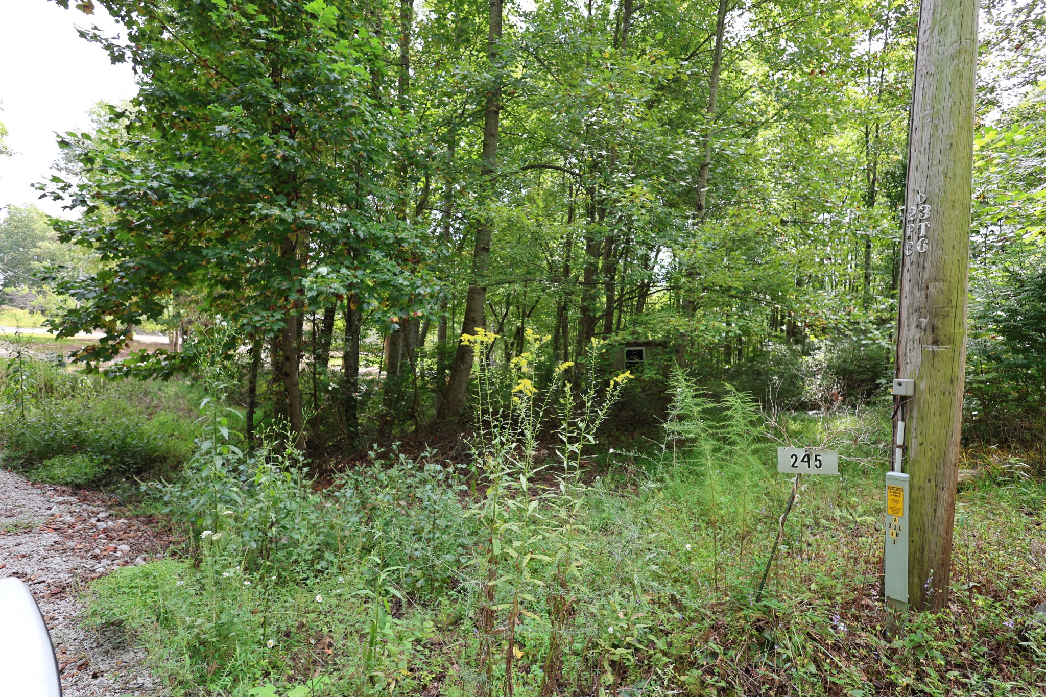245 Woolf Pass Lane Sparta TN 38583