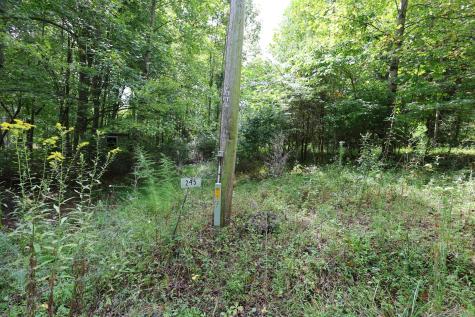 245 Woolf Pass Lane Sparta TN 38583