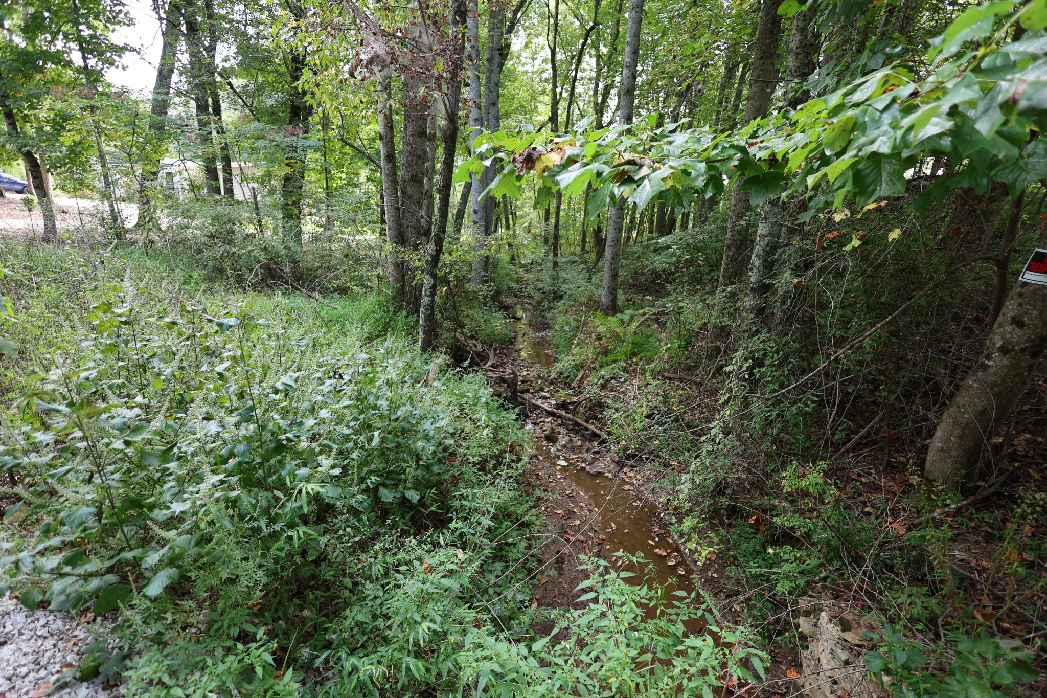 245 Woolf Pass Lane Sparta TN 38583