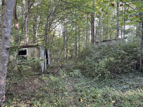 245 Woolf Pass Lane Sparta TN 38583