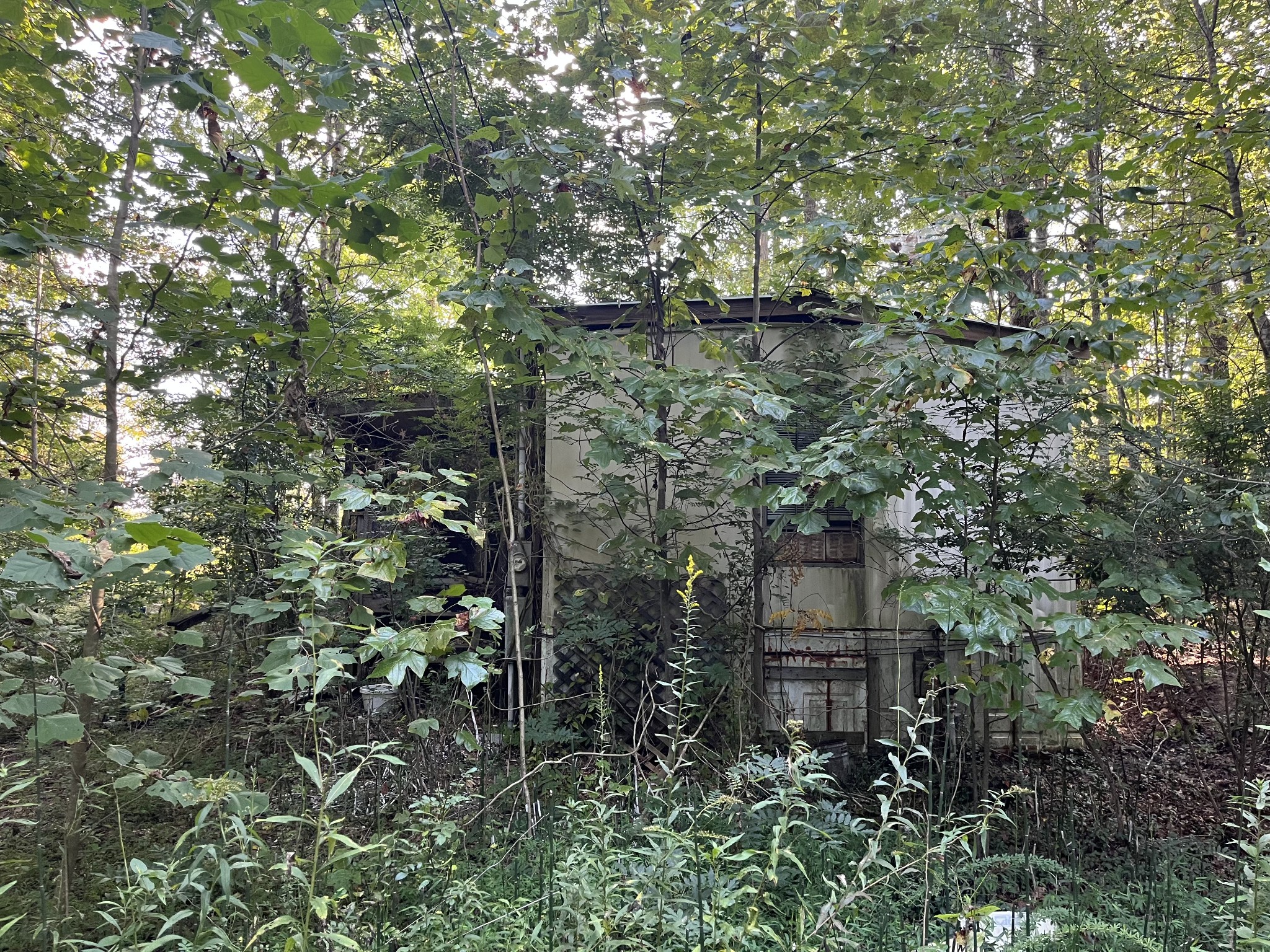 245 Woolf Pass Lane Sparta TN 38583