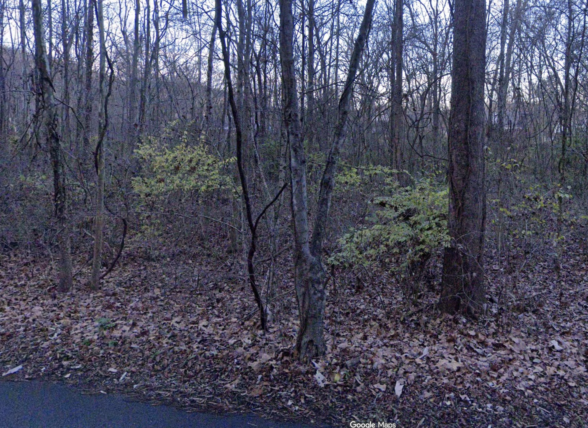 3978 Dry Fork Road Whites Creek TN 37189