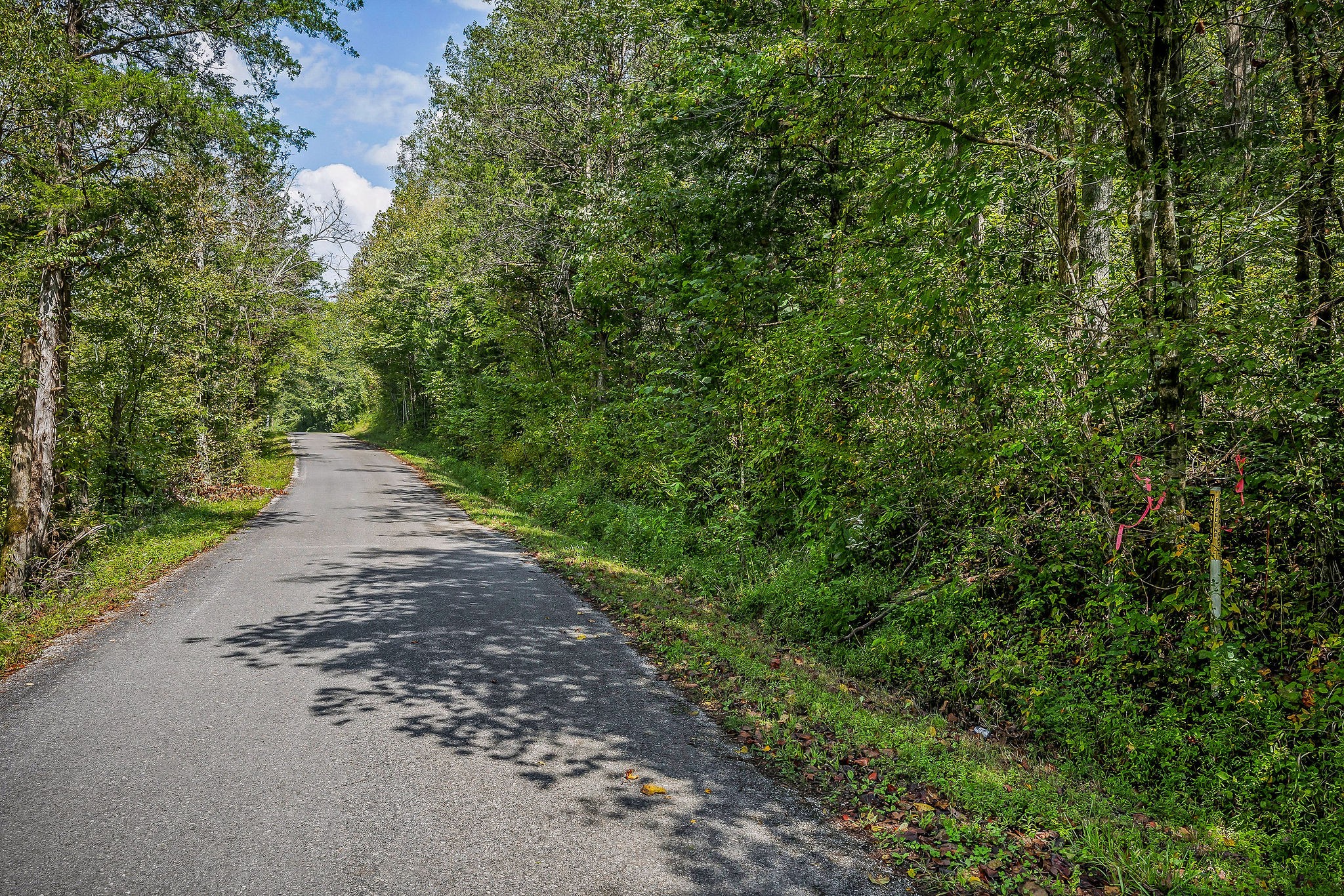 461 Shiloh Road Crawford TN 38554