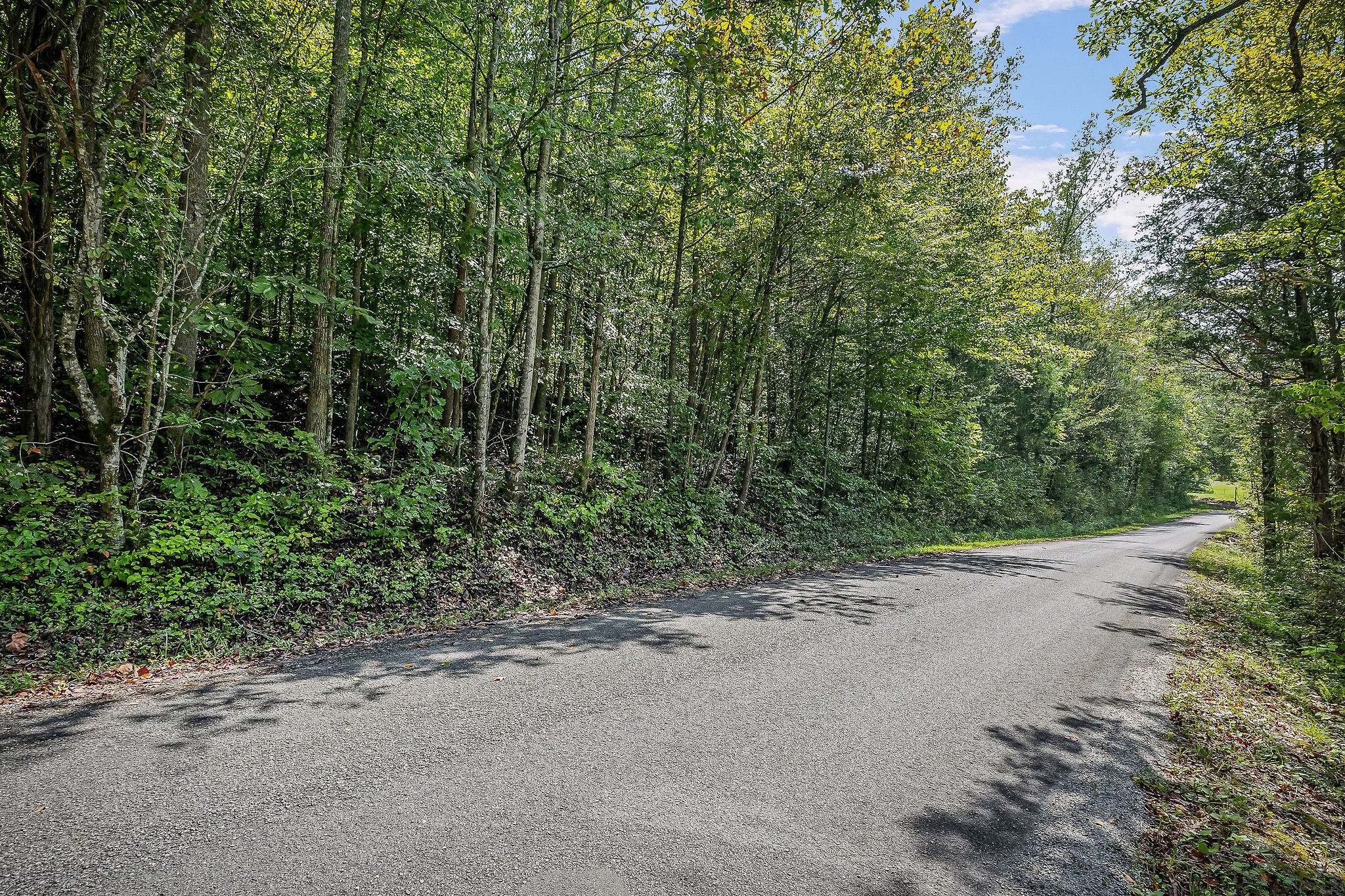 461 Shiloh Road Crawford TN 38554