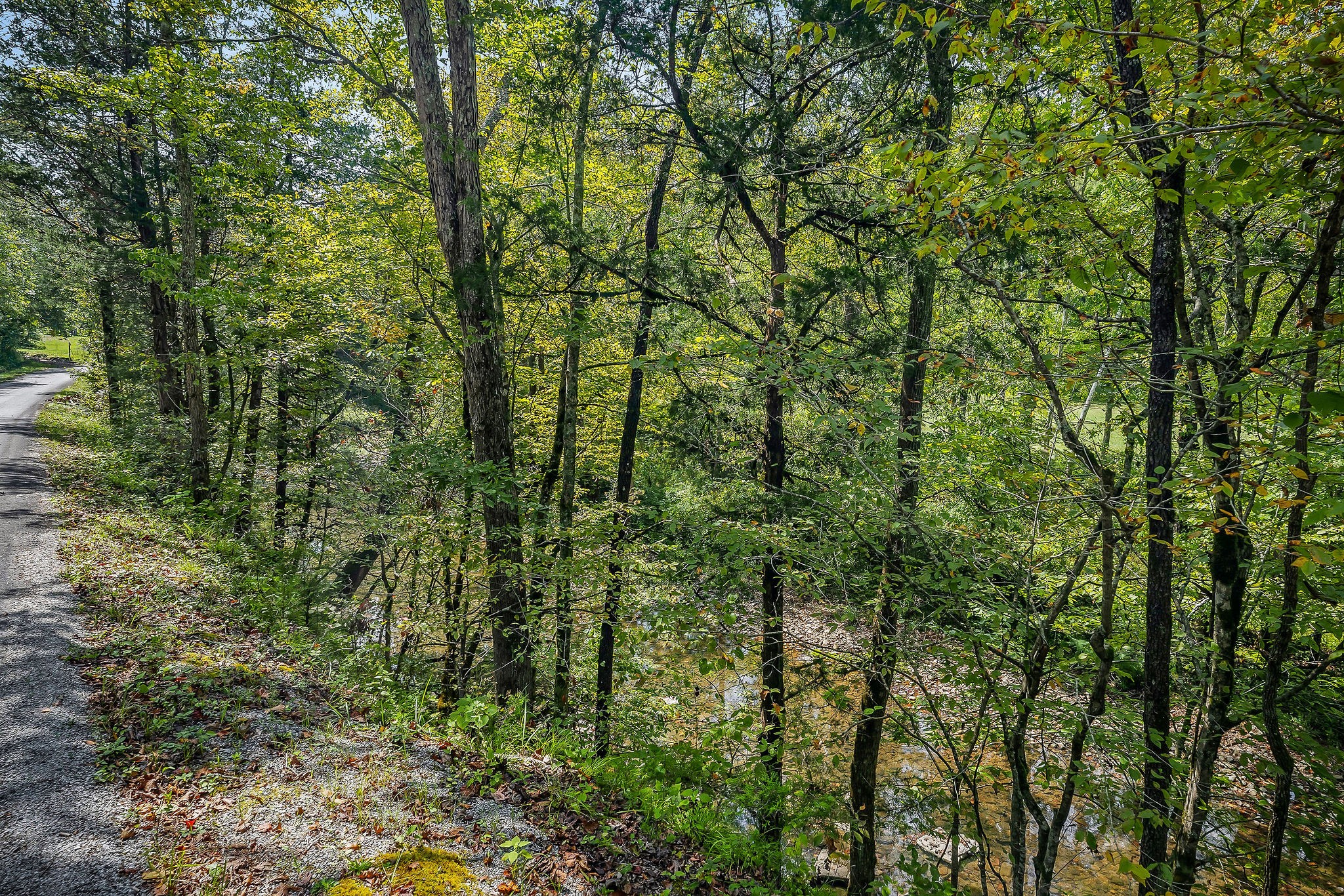461 Shiloh Road Crawford TN 38554