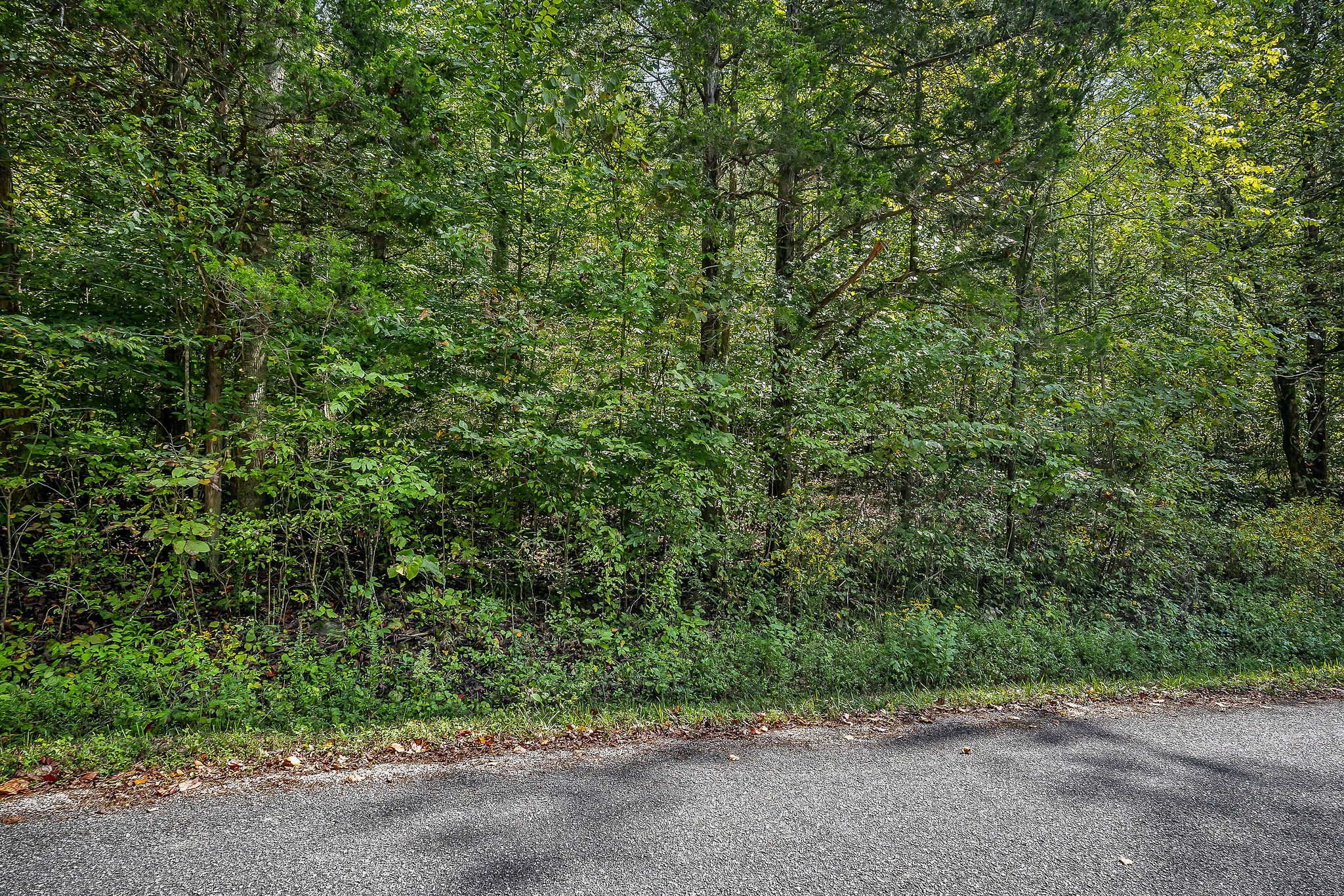 461 Shiloh Road Crawford TN 38554
