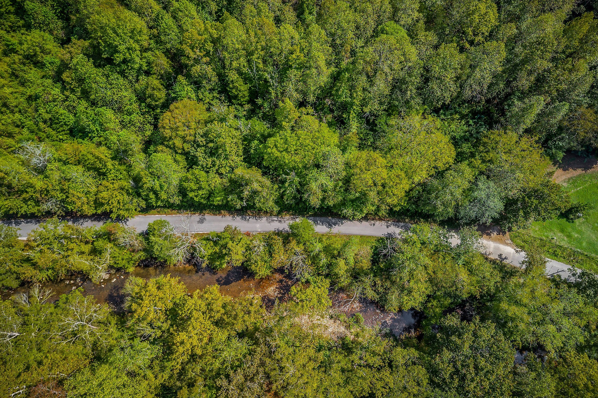 461 Shiloh Road Crawford TN 38554