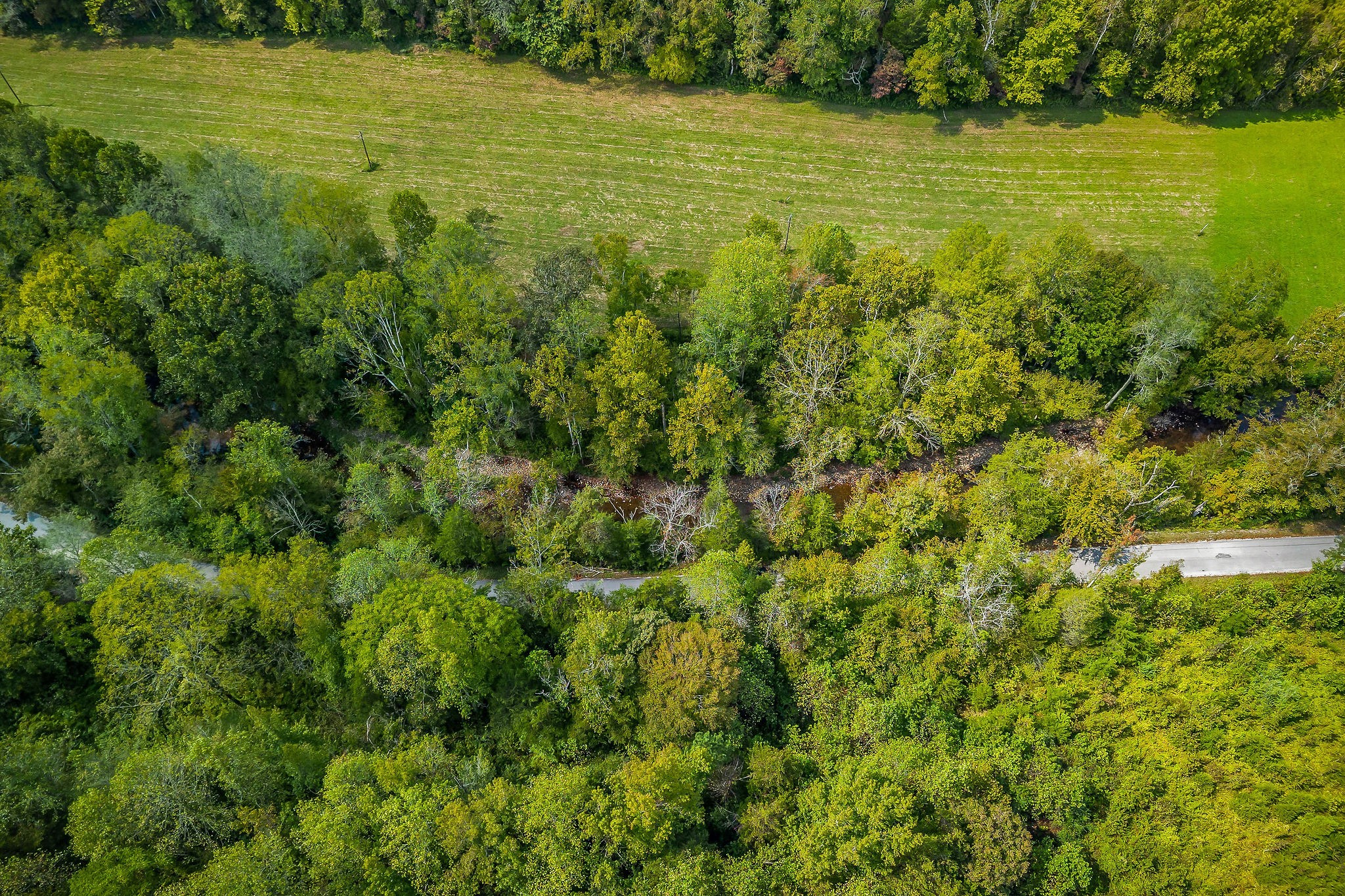 461 Shiloh Road Crawford TN 38554