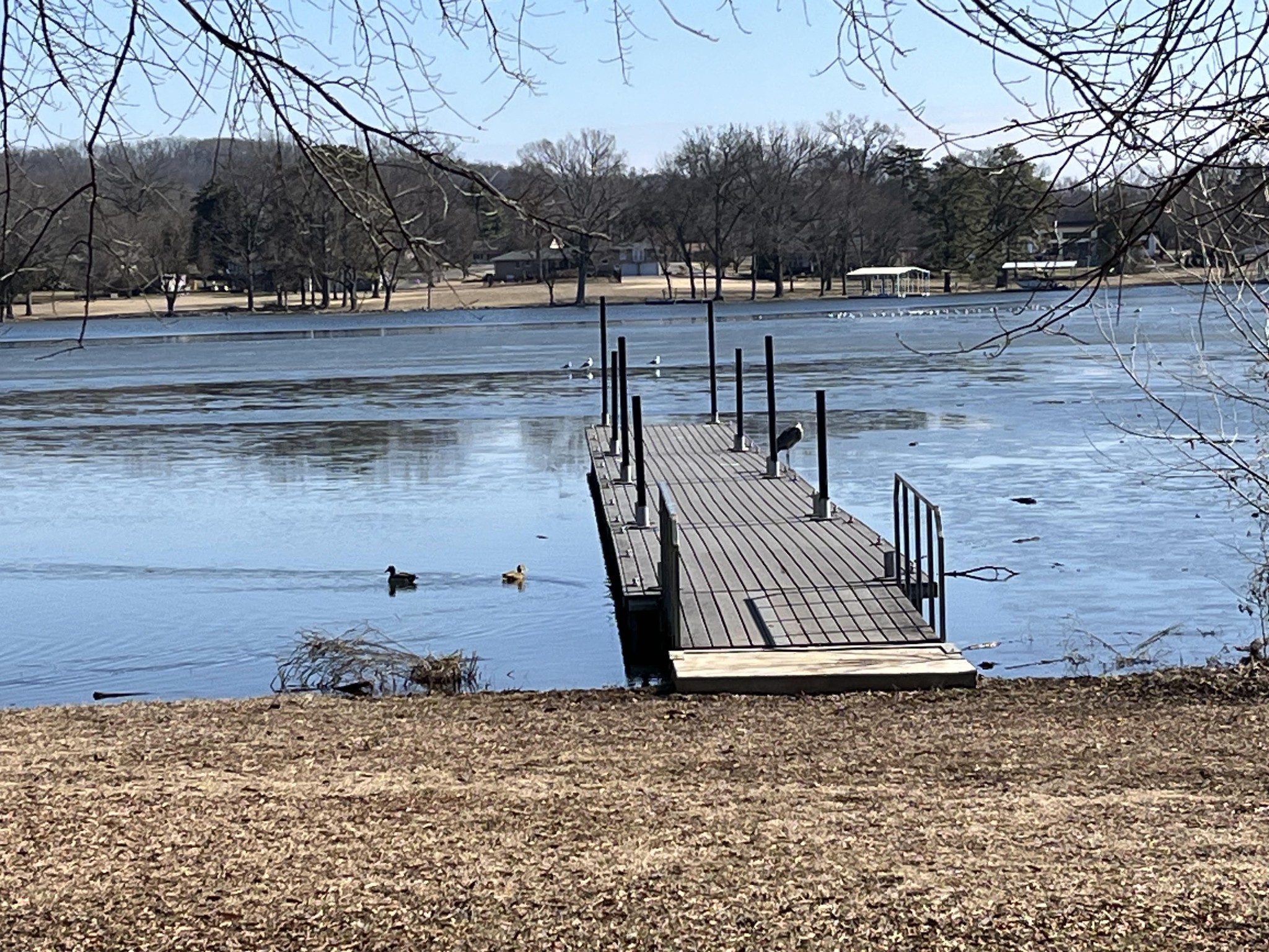 250 Sanders Ferry Road Hendersonville TN 37075