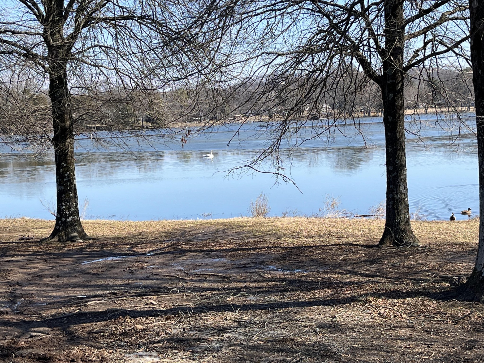 250 Sanders Ferry Road Hendersonville TN 37075