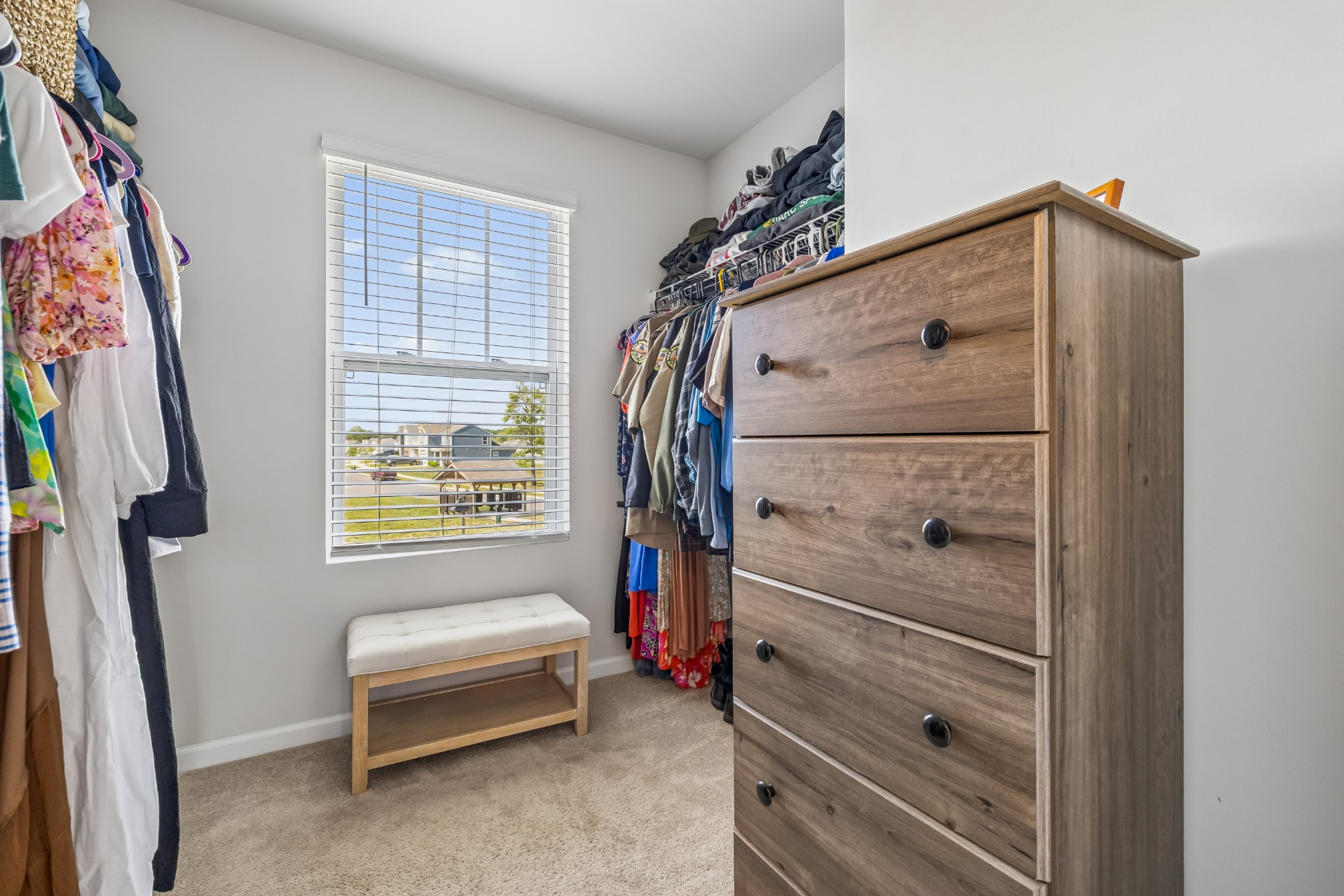 6022 Christeene Court White House TN 37188