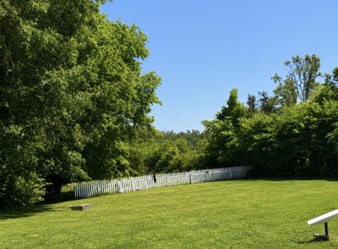 374 State Line Road Loretto TN 38469