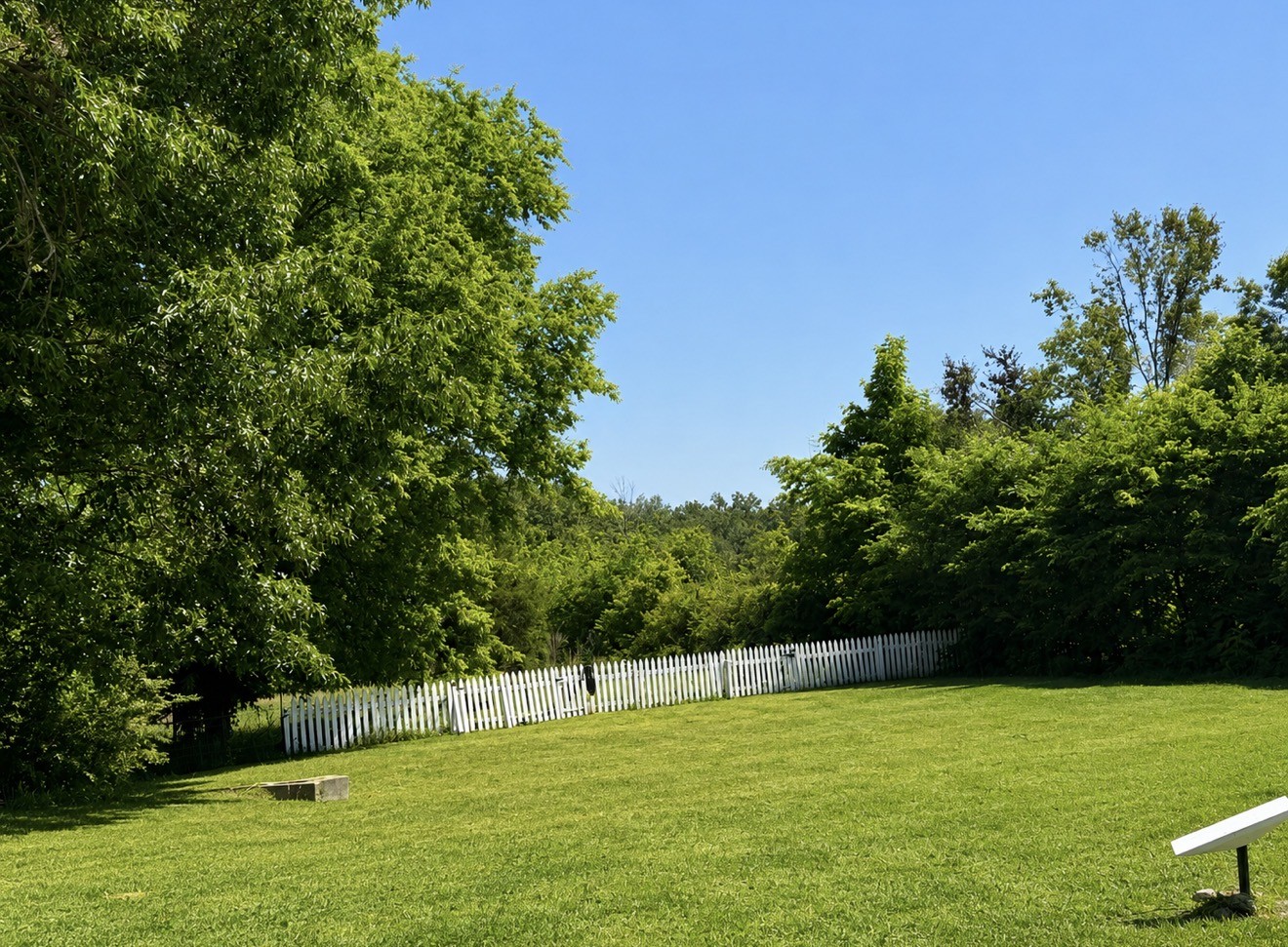374 State Line Road Loretto TN 38469