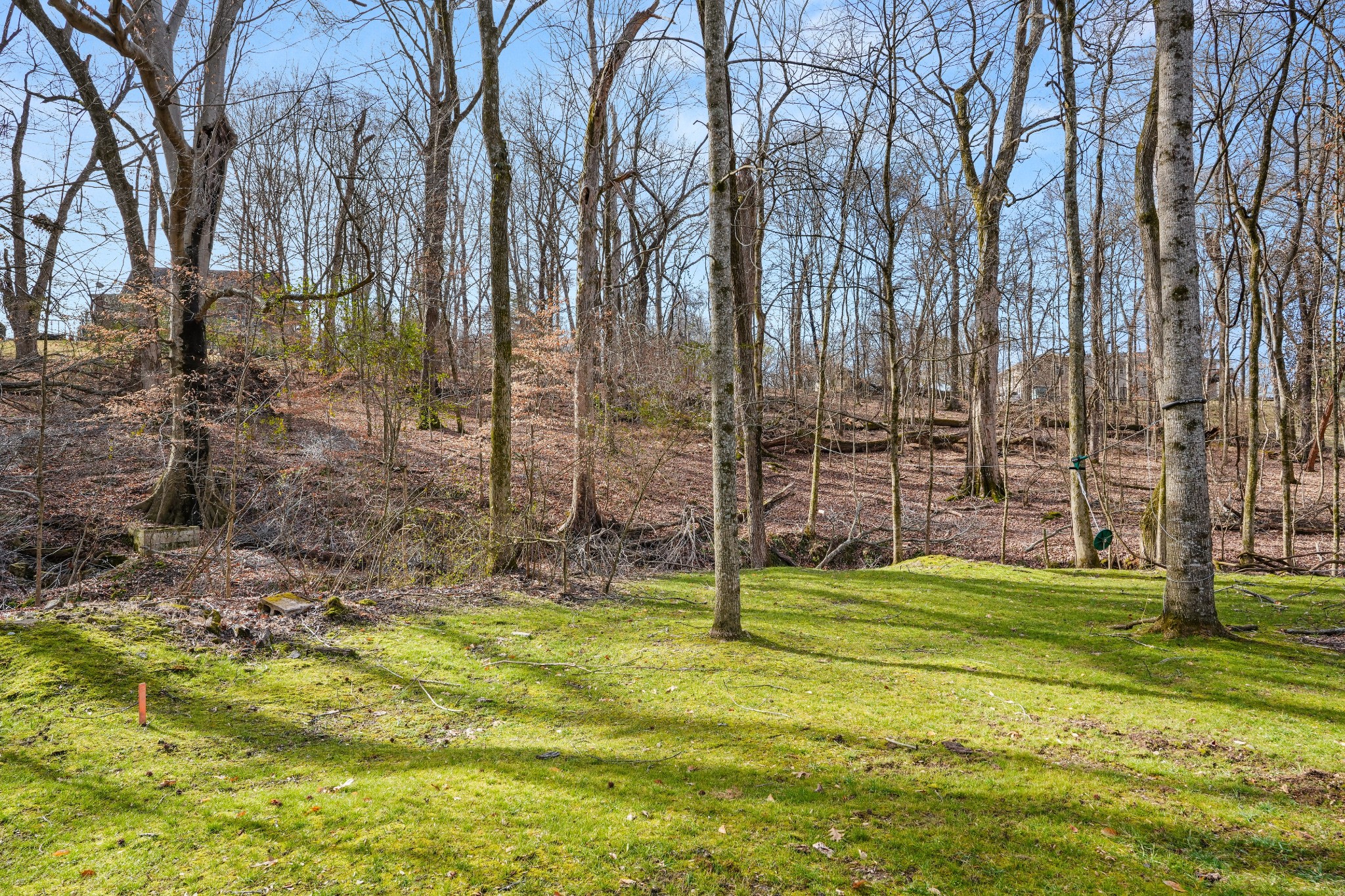 200 Burris Road Mount Juliet TN 37122
