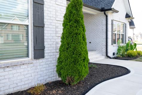 1905 Rhonda Drive Christiana TN 37037