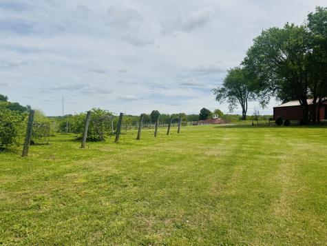 2982 Harvey Bowden Road Paris TN 38242