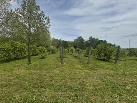 2982 Harvey Bowden Road Paris TN 38242