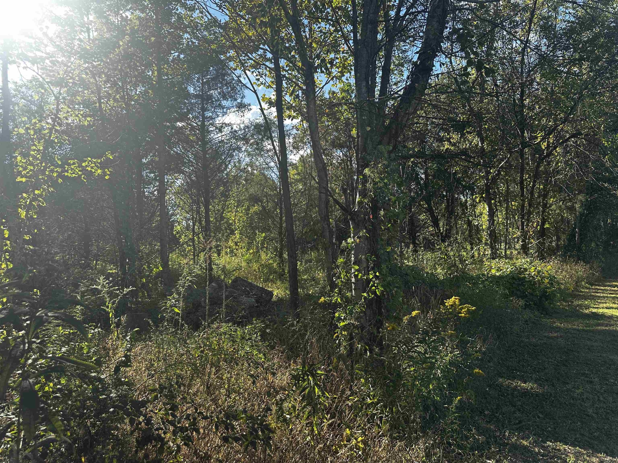 0 Catfish Ln Lane Crump TN 38327