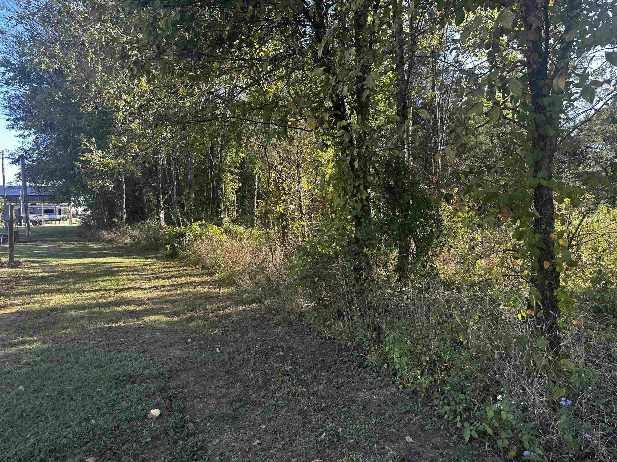 0 Catfish Ln Lane Crump TN 38327