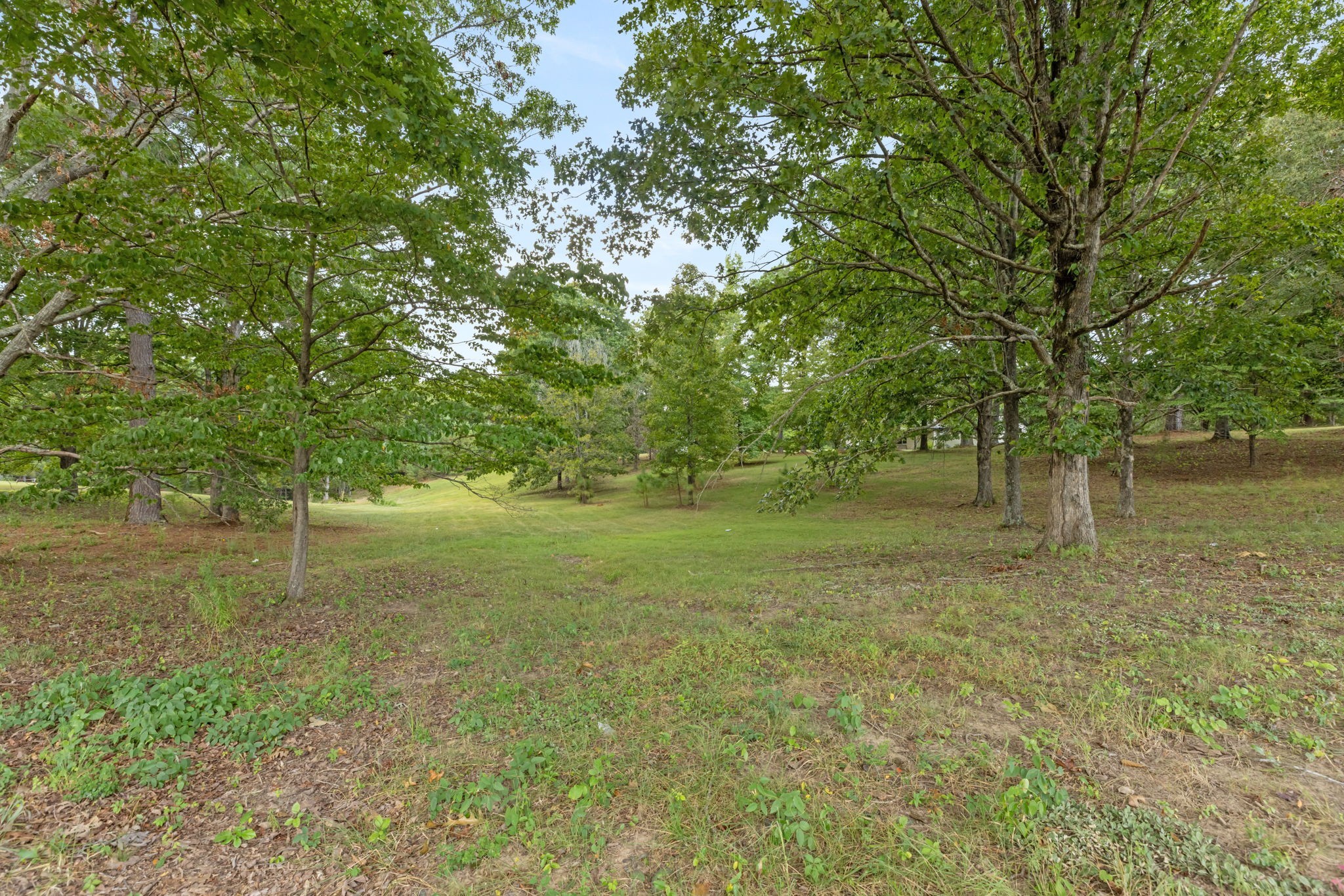 2809 Country Club Drive Centerville TN 37033