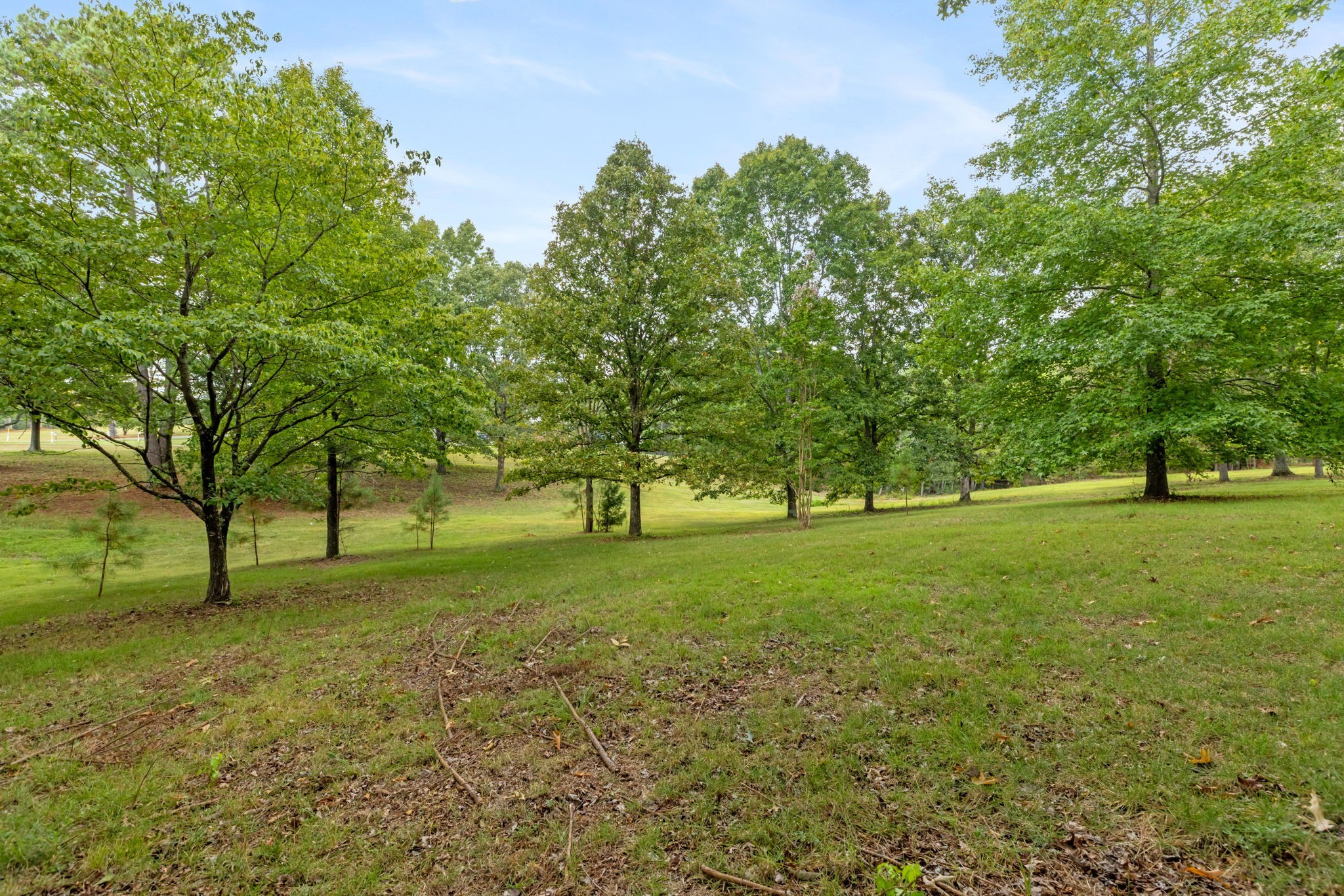 2809 Country Club Drive Centerville TN 37033