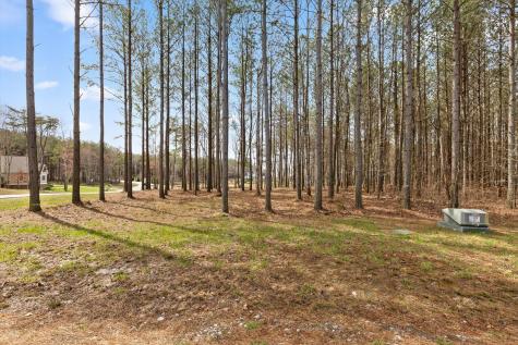 0 Pine Knot Pass Jasper TN 37347