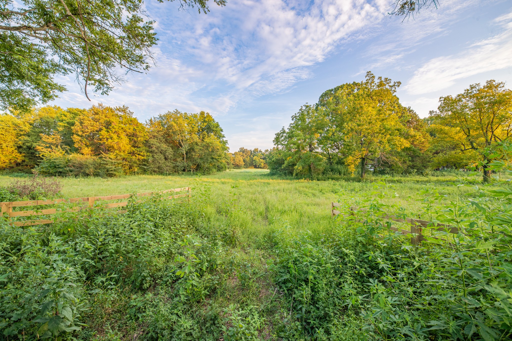 0 Hunter Bills Road Lewisburg TN 37091