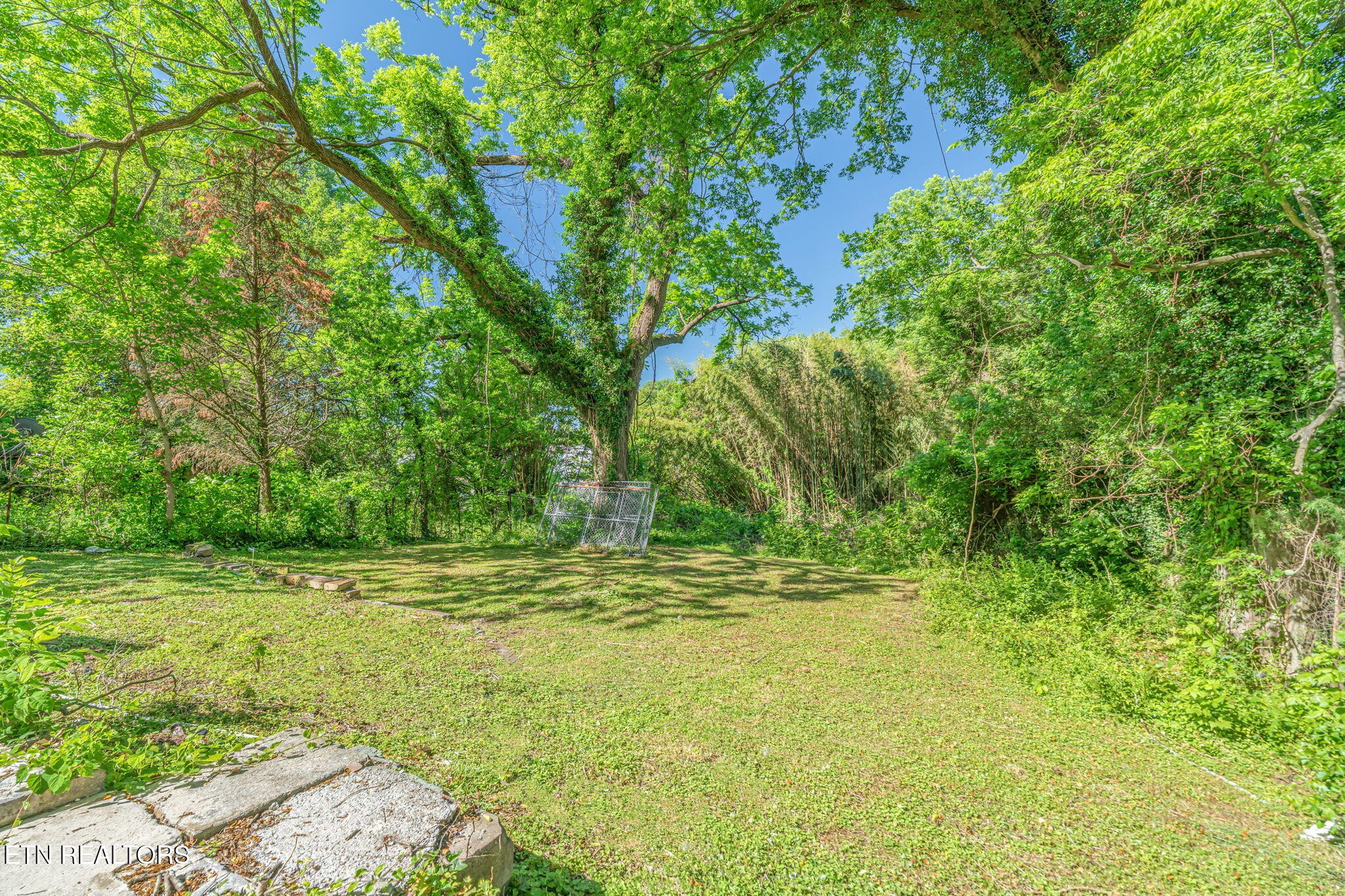 419 W Rockwood Street Rockwood TN 37854
