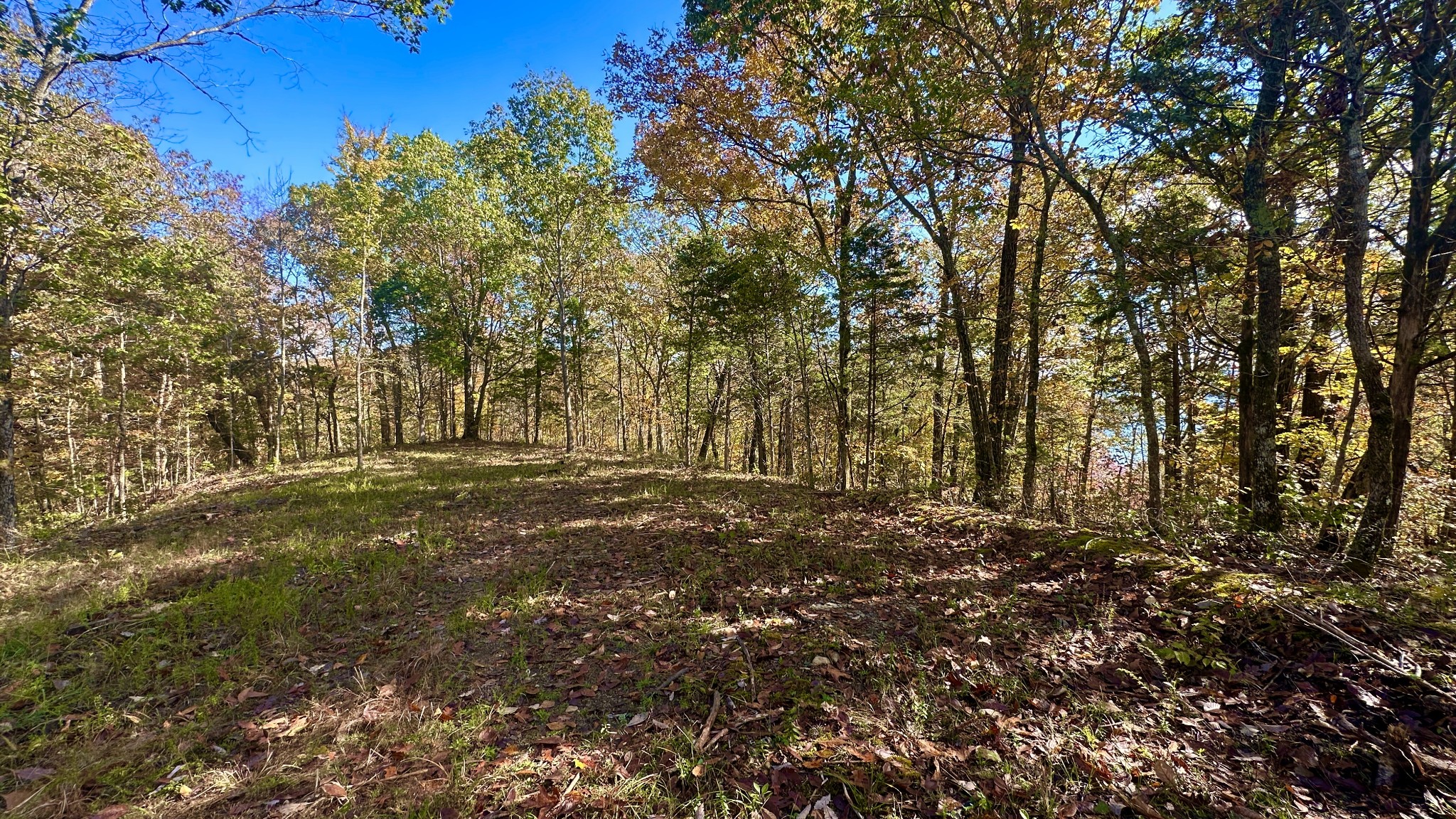 0 Rock Springs Road Lot 107 To 111 Celina TN 38551