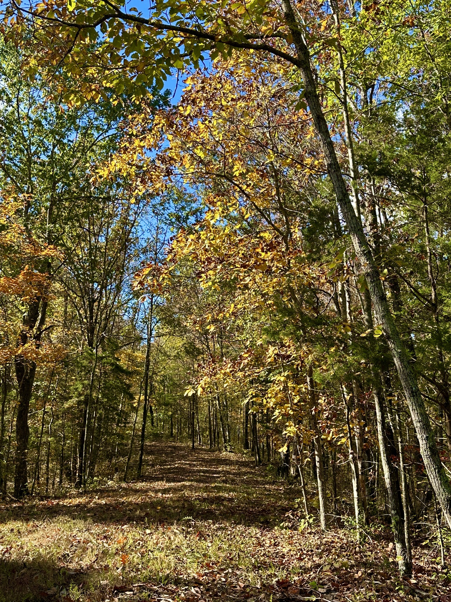 0 Rock Springs Road Lot 107 To 111 Celina TN 38551