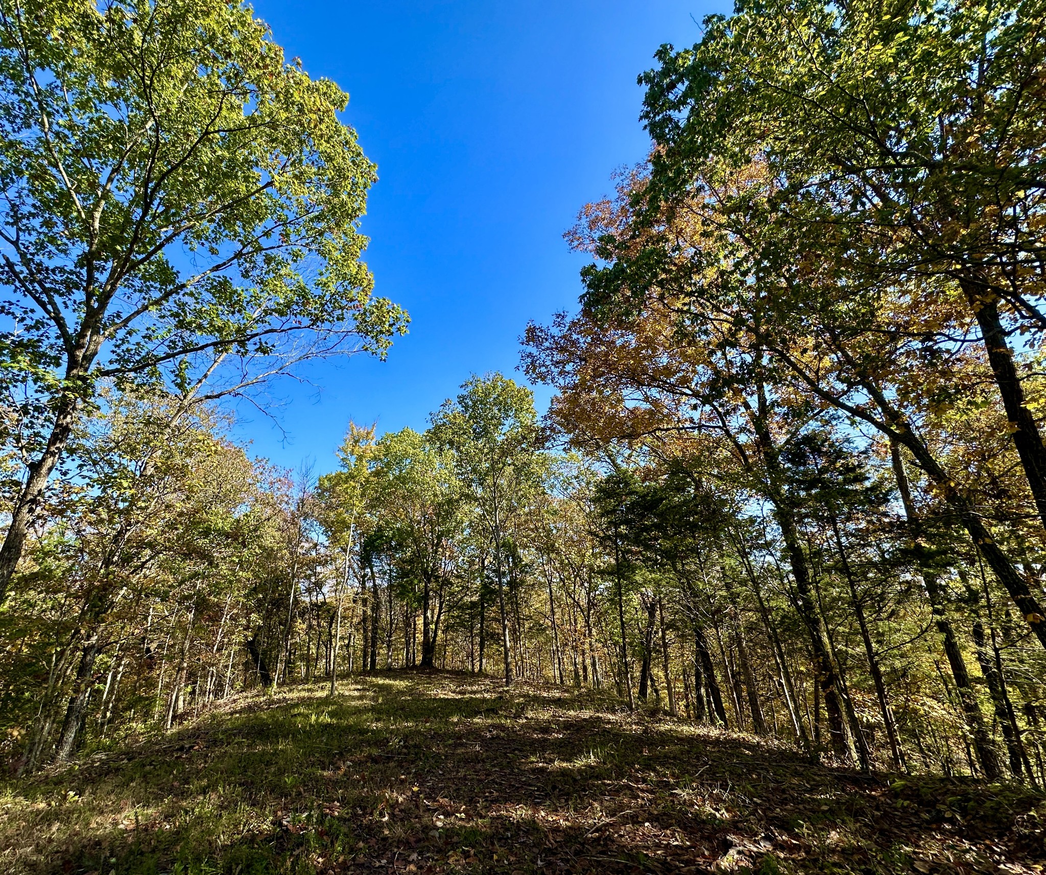 0 Rock Springs Road Lot 107 To 111 Celina TN 38551