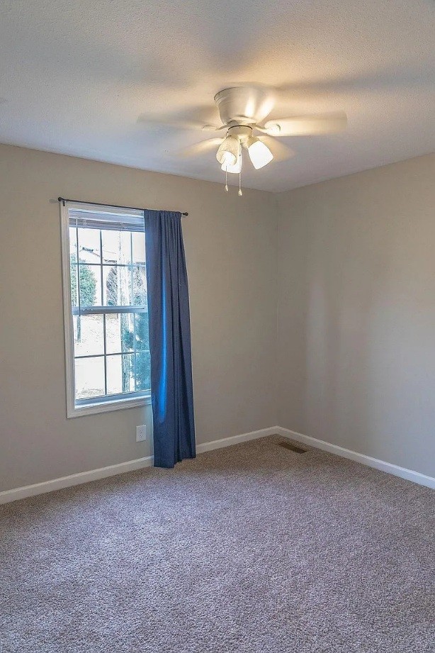 3136 Brook Hill Drive Clarksville TN 37042