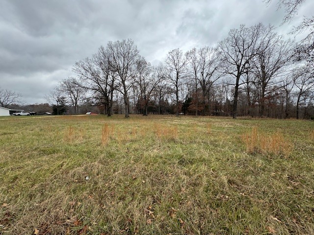0 Old County House Road Charlotte TN 37036