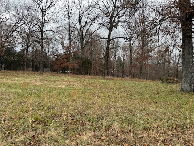 0 Old County House Road Charlotte TN 37036