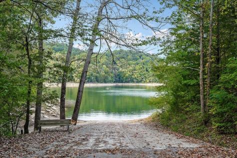 446 Oak Drive Smithville TN 37166