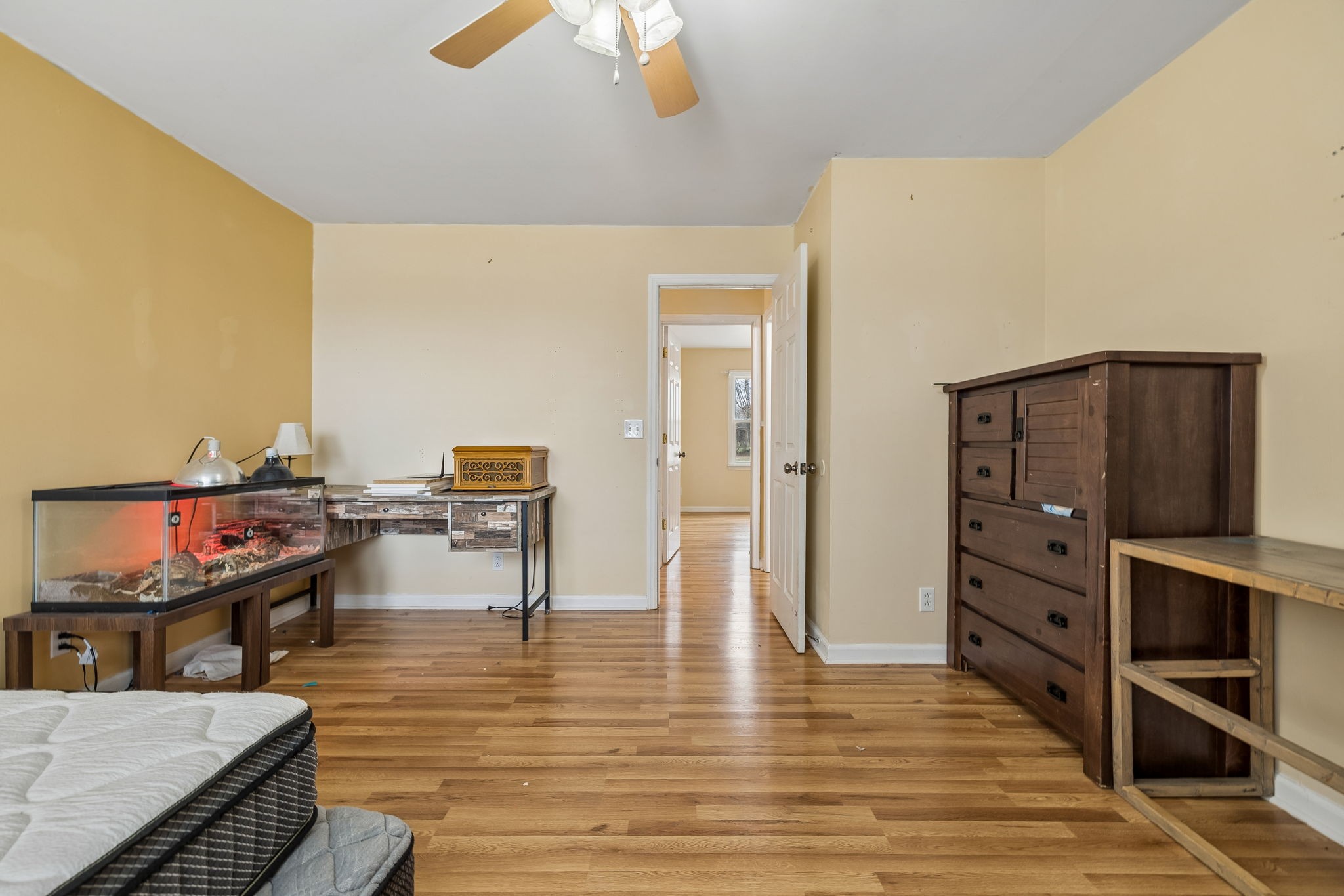 3669 Bluff Springs Road Mcminnville TN 37110