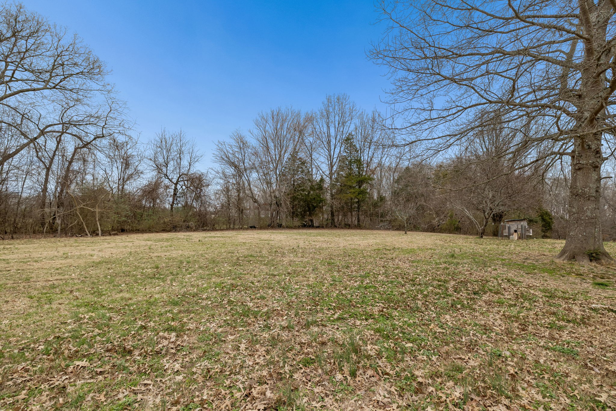 3669 Bluff Springs Road Mcminnville TN 37110