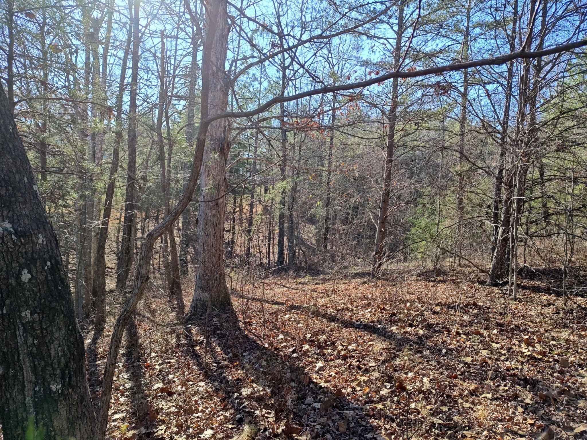 0 Skyhigh Trail Dunlap TN 37327