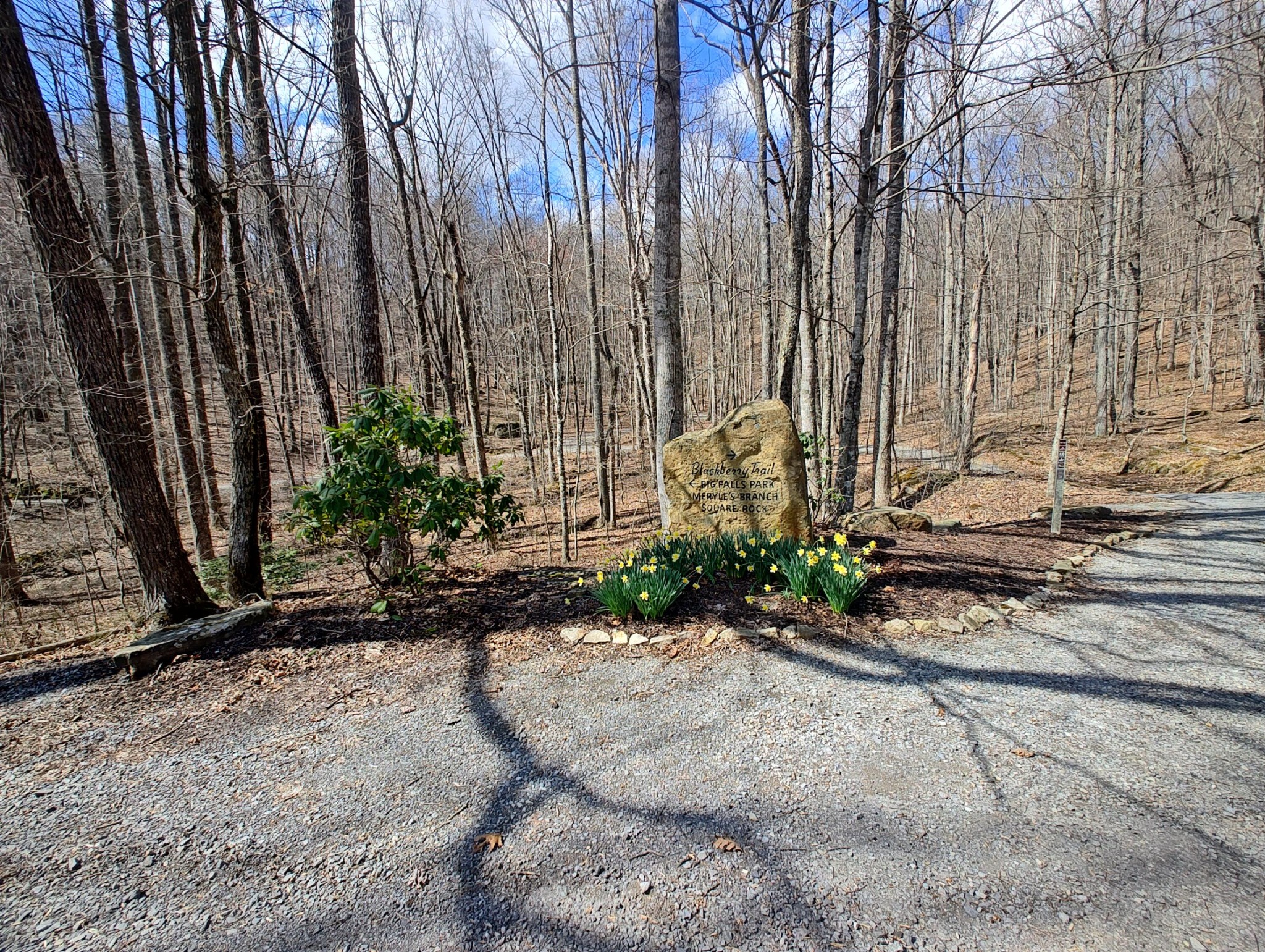 0 Skyhigh Trail Dunlap TN 37327