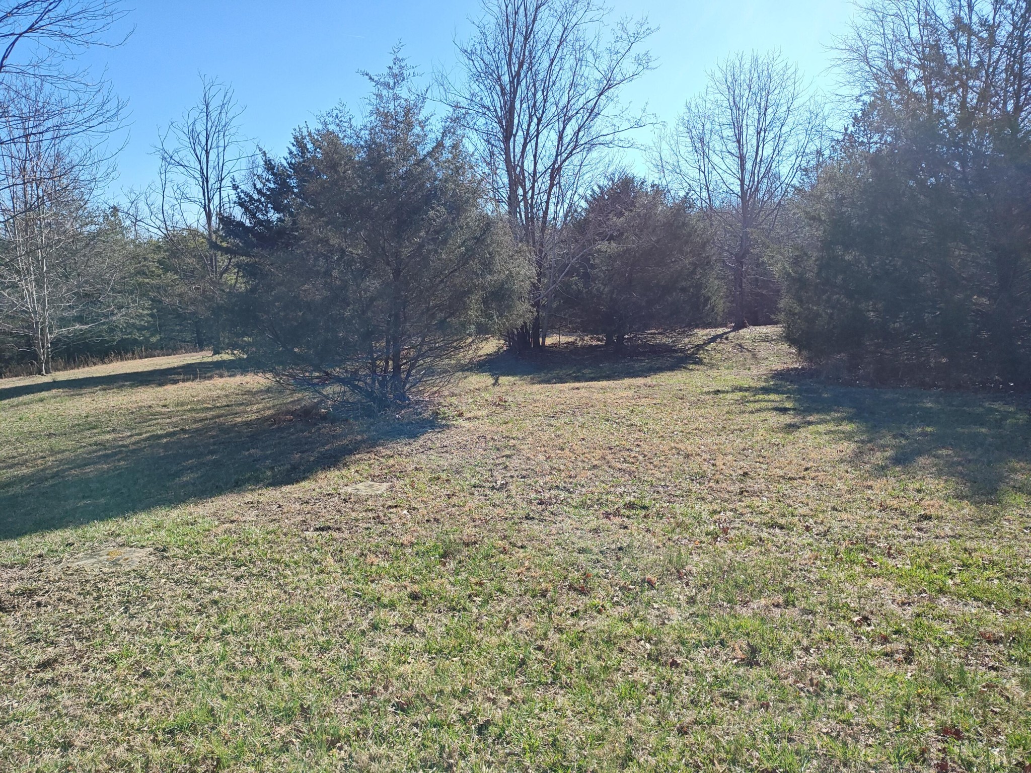 0 Skyhigh Trail Dunlap TN 37327