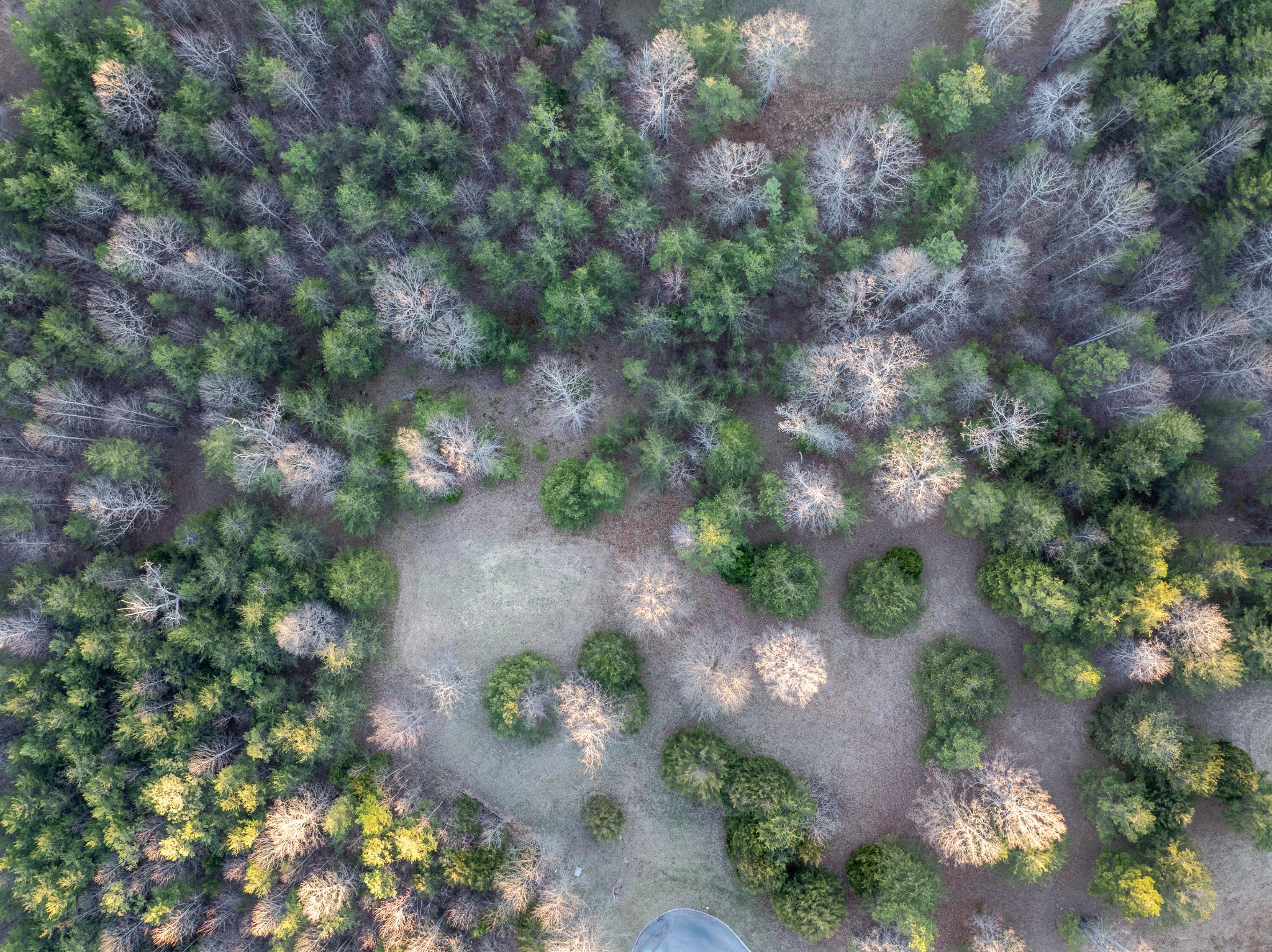 0 Skyhigh Trail Dunlap TN 37327
