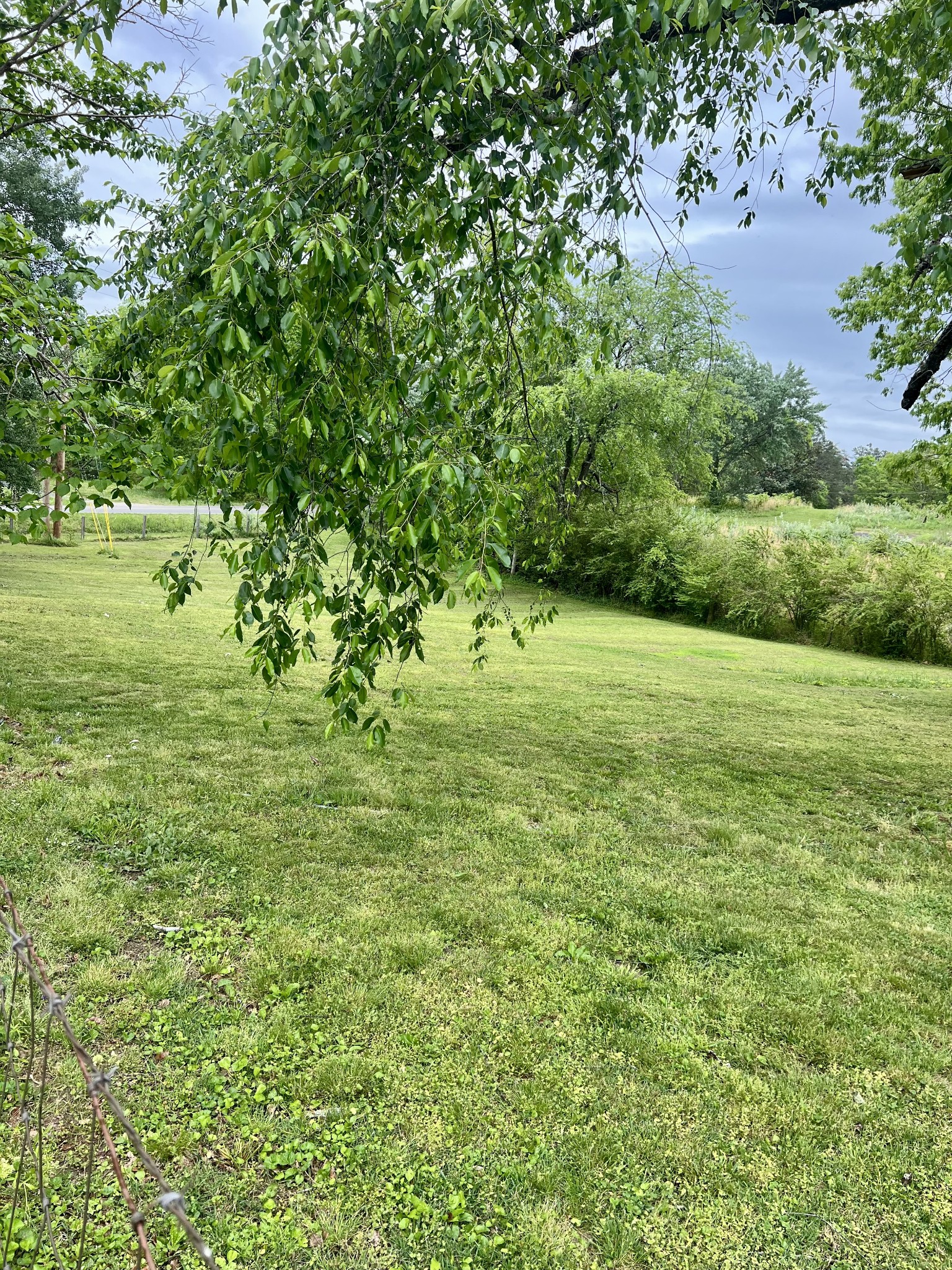 7526 Johnny Crow Road Lyles TN 37098