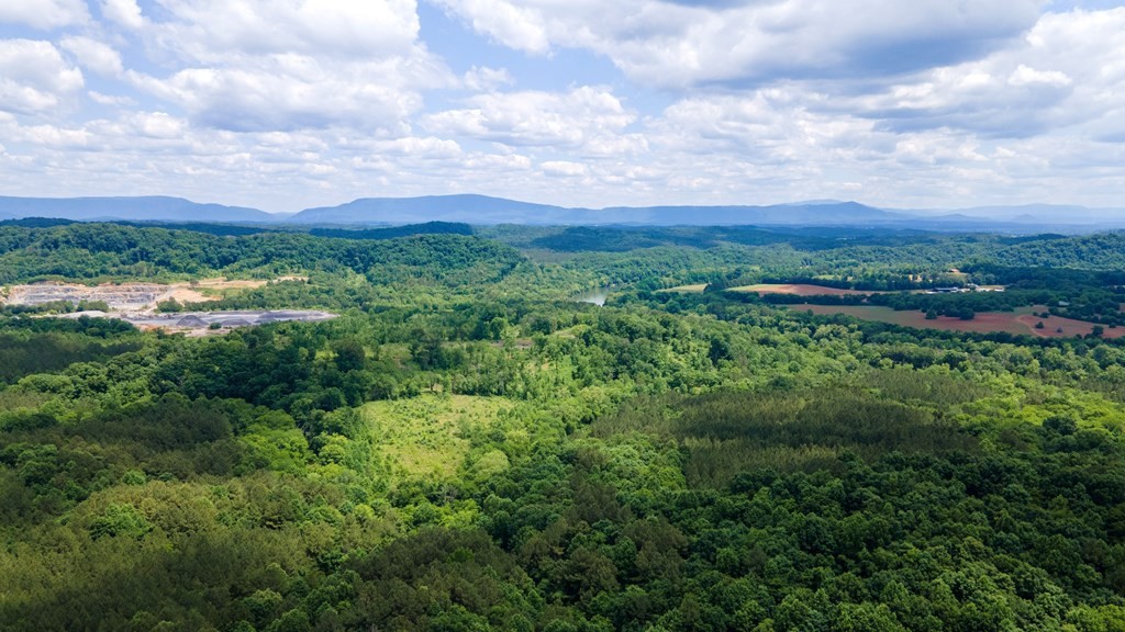 4 State Highway 163 Calhoun TN 37309