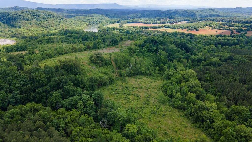 4 State Highway 163 Calhoun TN 37309