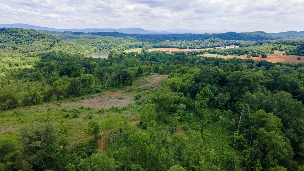 4 State Highway 163 Calhoun TN 37309