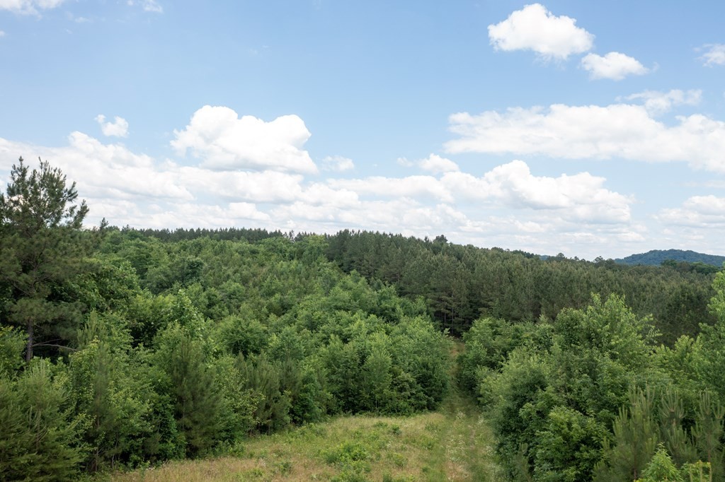 4 State Highway 163 Calhoun TN 37309