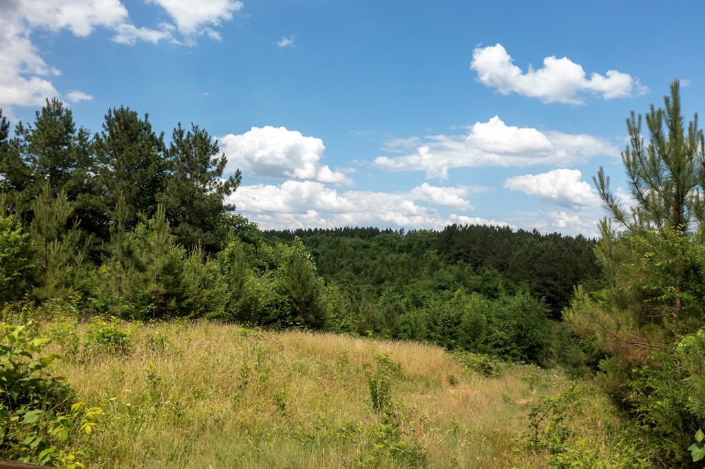 4 State Highway 163 Calhoun TN 37309